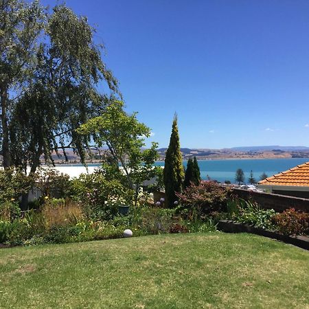 Jacaranda Lodge - Napier Hill Holiday Home Екстер'єр фото